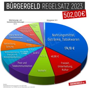 Kuchendiagramm Bürgergeld Regelsatz 2024 - Bedarfe und Bestandteile