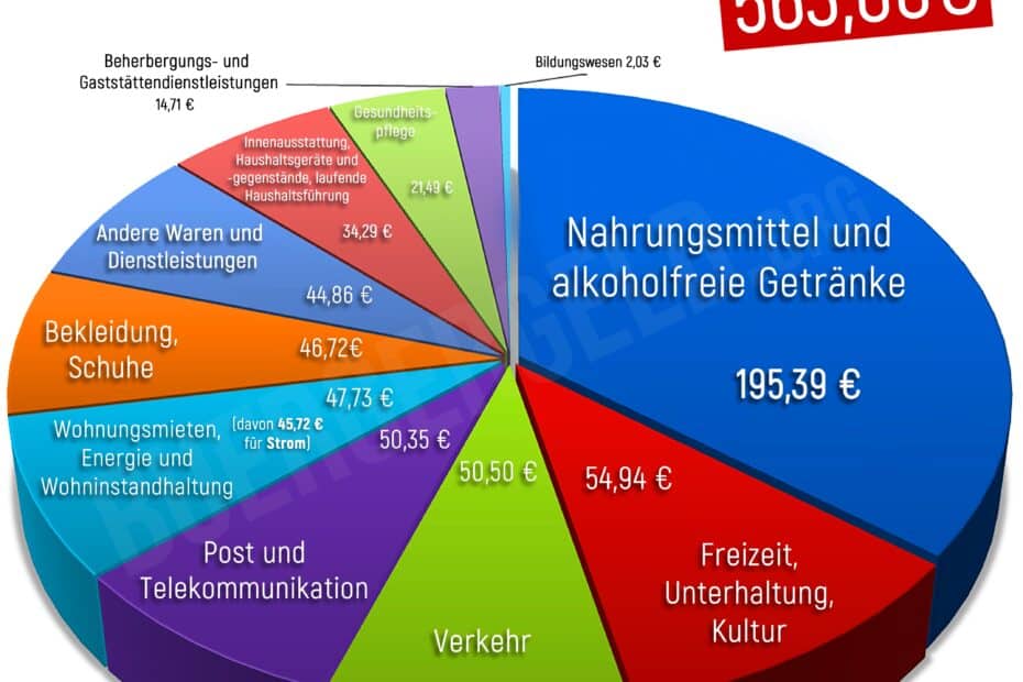 Bürgergeld Regelbedarf 2025 Tortendiagramm